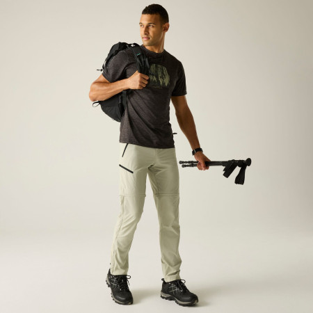 Muške hlače Regatta Xert Stretch Z/O Trousers