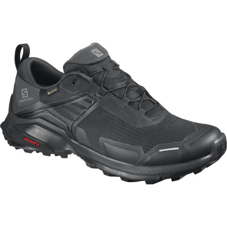 Muška obuća Salomon X Raise GTX crna Black