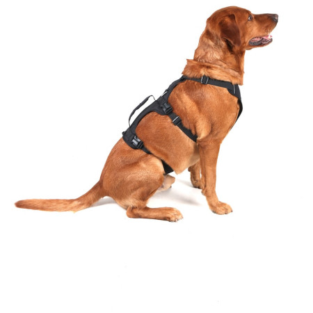 Ogrlica za psa Mountain Paws 3-Strap Dog Harness