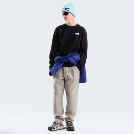 Muška dukserica The North Face M Evolution Box Nse Regular Crew