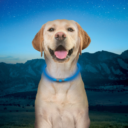 Svjetleća ogrlica za psa Nite Ize NiteHowl® Rechargeable LED Safety Necklace