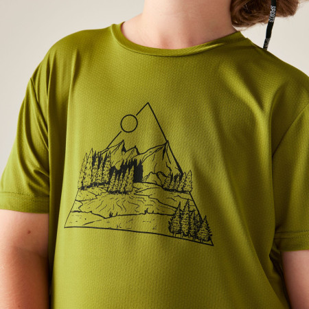 Dječja majica Dare 2b Amuse III Tee Goldn Cypress