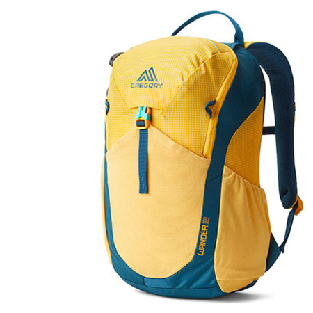 Dječji ruksak Gregory Wander 12 žuta AQUA YELLOW