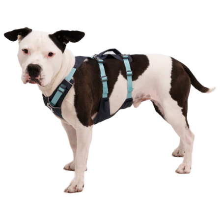 Ogrlica za psa Ruffwear Flagline™ Harness