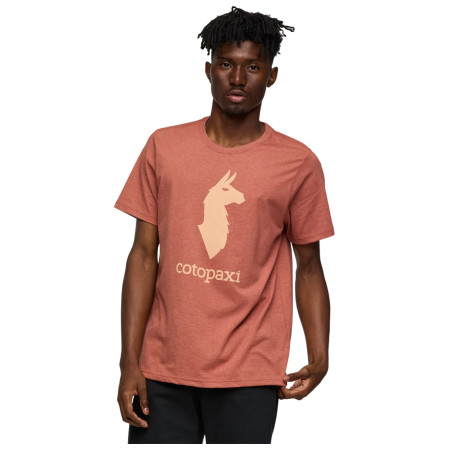 Muška majica Cotopaxi Cotopaxi Llama T-Shirt