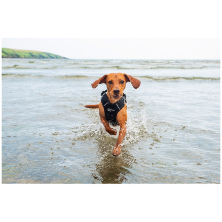 Ogrlica za psa Mountain Paws Dog Harness