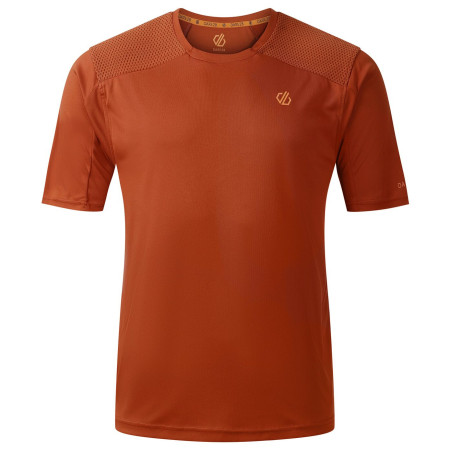 Muške funkcionalne majice Dare 2b Trackstand Ace smeđa ArabianSpice