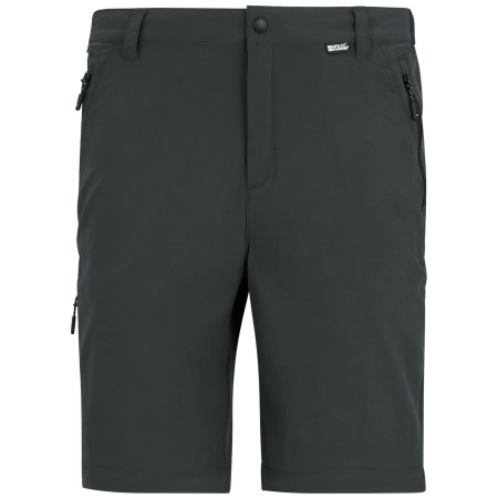 Muške hlače Regatta Anti-Insect Travel Light Z/O Trousers