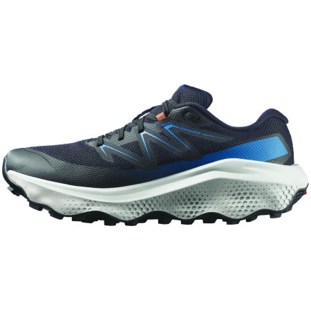 Muške cipele Salomon Ultra Flow 2 Gore-Tex
