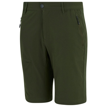 Muške kratke hlače Regatta Highton Shorts Long II