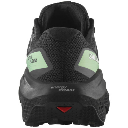 Muške cipele Salomon Ultra Flow 2 Gore-Tex