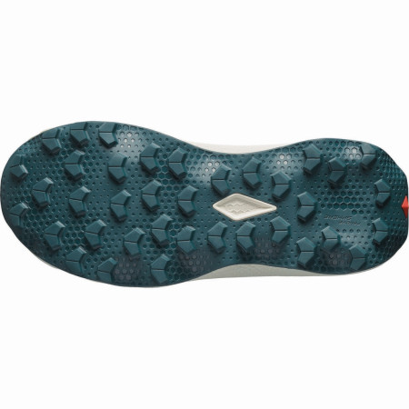 Ženske cipele Salomon Ultra Flow 2 W