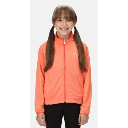 Dječja dukserica Regatta Jnr Highton LteII