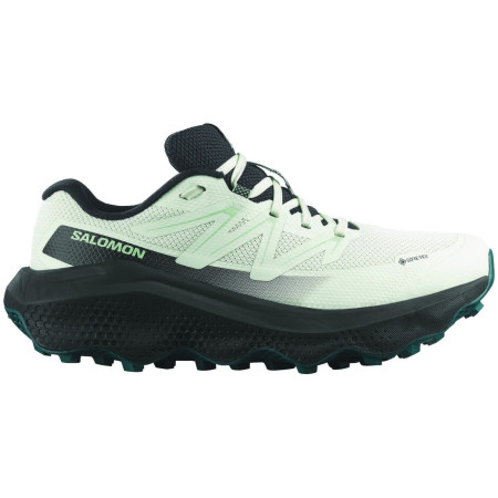 Ženske tenisice za trčanje Salomon Ultra Flow 2 Gore-Tex