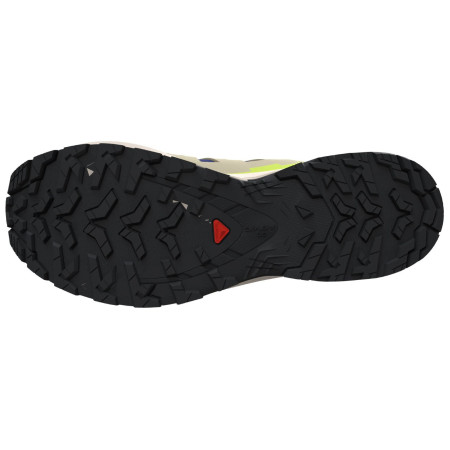 Muške cipele Salomon Xa Pro 3D V9