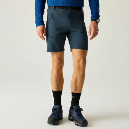 Muške kratke hlače Regatta Xert Stretch Shorts