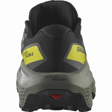 Muška obuća Salomon Ultra Flow 2 Gore-Tex