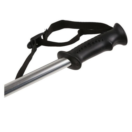 Štap za planinarenje Regatta AS Walk Pole II