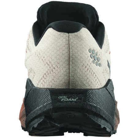 Muške cipele Salomon Aero Blaze 4 Grvl Gtx