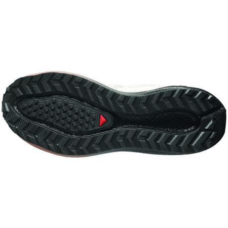 Muške cipele Salomon Aero Blaze 4 Grvl Gtx