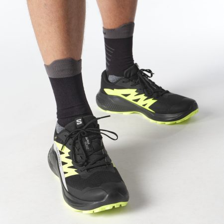 Muške tenisice za trčanje Salomon Alphaglide Gore-Tex