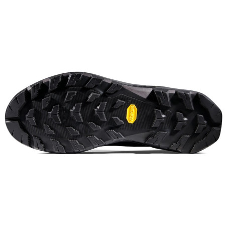Muške trekking cipele Mammut Ducan III Low GTX Men