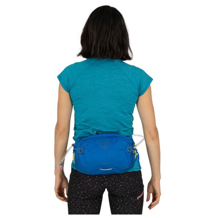 Torbice oko struka Osprey Seral 4