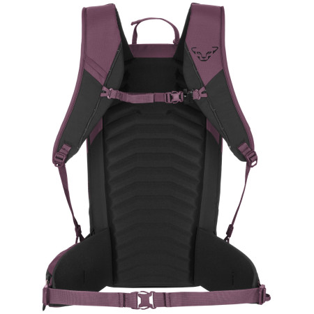 Ženski ruksak Dynafit Ridge 24 Backpack W