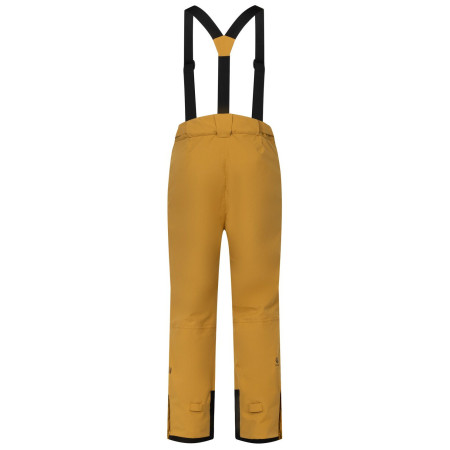 Muške hlače Dare 2b Achieve III Pant regular