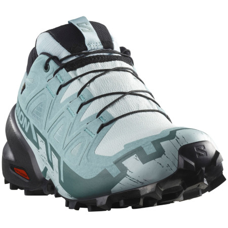 Ženske cipele Salomon Speedcross 6 Gore-Tex