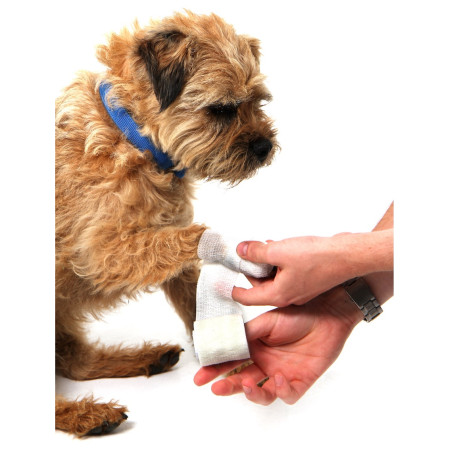 Prva pomoć za pse Mountain Paws Dog First Aid Kit