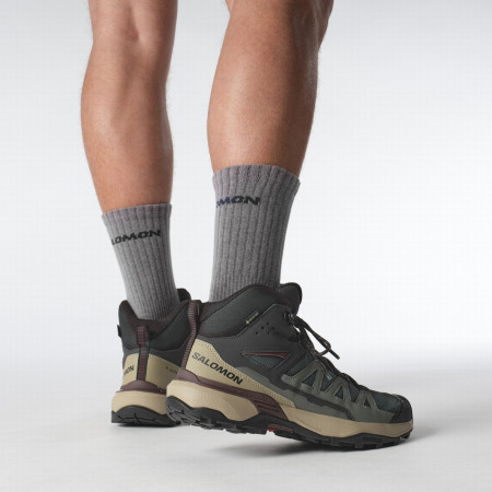 Muška obuća Salomon X Ultra 360 Mid Gore-Tex