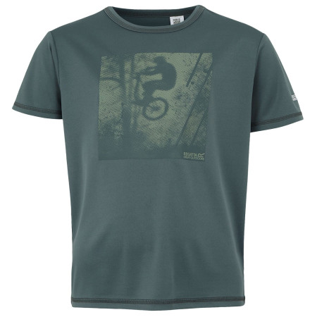 Dječja majica Regatta Alvarado IX