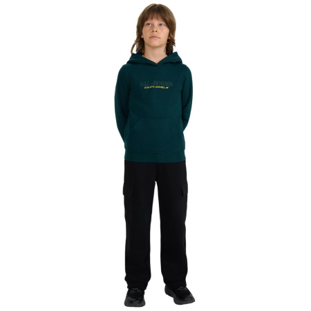 Dječja dukserica 4F Sweatshirt M1959