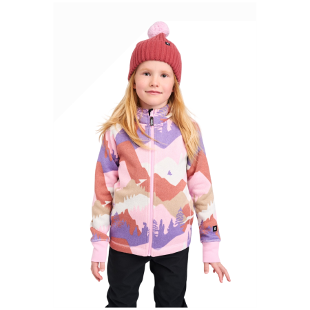 Dječja funkcionalna dukserica Reima Northern Grey Pink