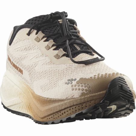 Ženske tenisice za trčanje Salomon Aero Blaze 4 Grvl W