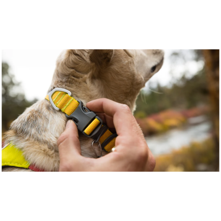 Ogrlica za psa Ruffwear Hi & Light™ Collar