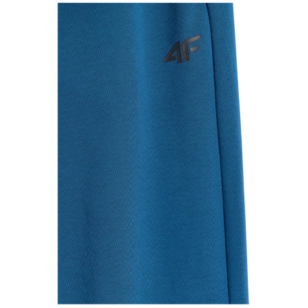 Muške hlače 4F Trousers Cas M1139