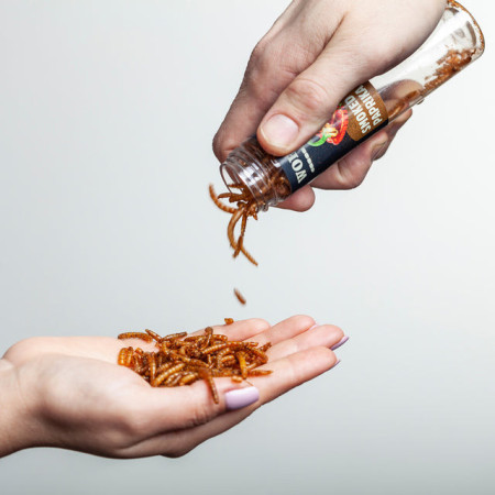 Jestivi crvi Sens Poklon set od 4 okusa