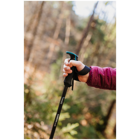Trekking štapovi Warg Carbon Lock