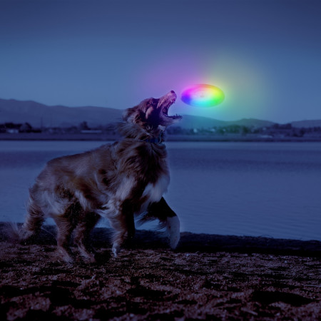 Igračka za psa Nite Ize Flashflight® Dog Discuit™ LED Flying Disc