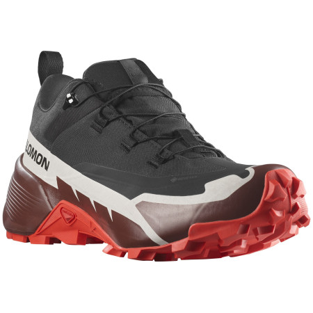Muške cipele za planinarenje Salomon Cross Hike 2 Gore-Tex