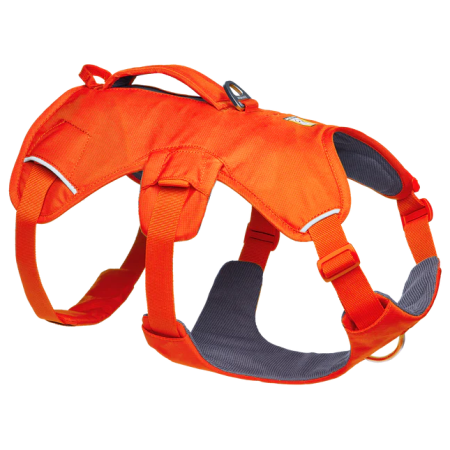 Ogrlica za psa Ruffwear Web Master™ Harness narančasta Blaze Orange