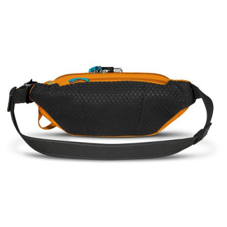 Torbice oko struka Pacsafe ECO waist pack