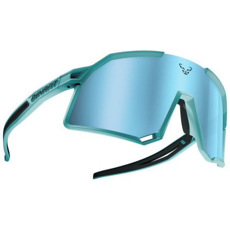 Sunčane naočale Dynafit Trail Evo Sunglasses tirkizna 8050 - marine blue/blueberry