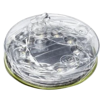 LED svjetla Mpowerd Luci Outdoor