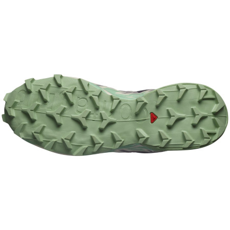 Ženske tenisice za trčanje Salomon Speedcross 6