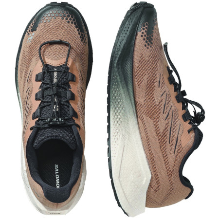 Muške cipele Salomon Aero Blaze 4 Grvl