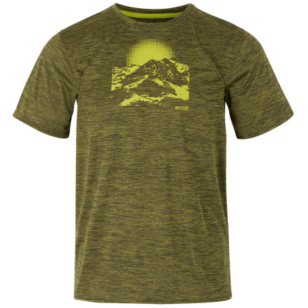 Muška majica Regatta Fingal IX tamno zelena NephrtGrnMrl