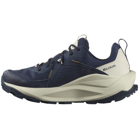 Muška obuća Salomon Elixir Gore-Tex
